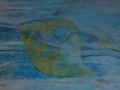 Gele schelp zwevend in het water
