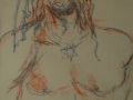 Rasta man torso